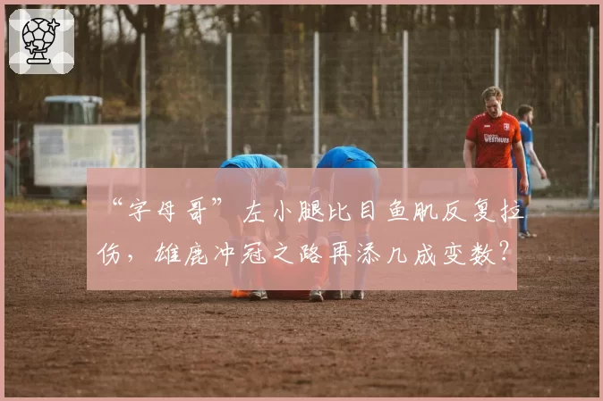 “字母哥”左小腿比目鱼肌反复拉伤,雄鹿冲冠之路再添几成变数?