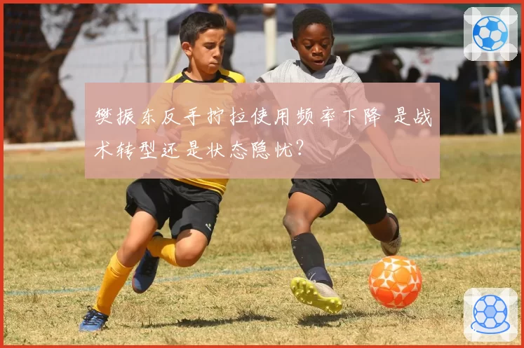 樊振东反手拧拉使用频率下降 是战术转型还是状态隐忧?