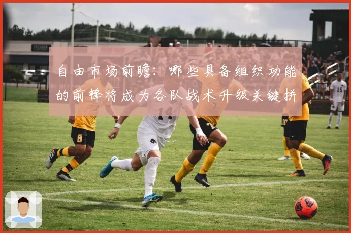 自由市场前瞻:哪些具备组织功能的前锋将成为各队战术升级关键拼图?