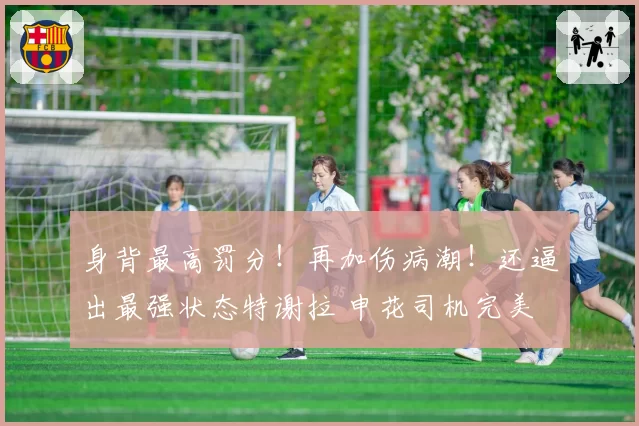 身背最高罚分!再加伤病潮!还逼出最强状态特谢拉 申花司机完美