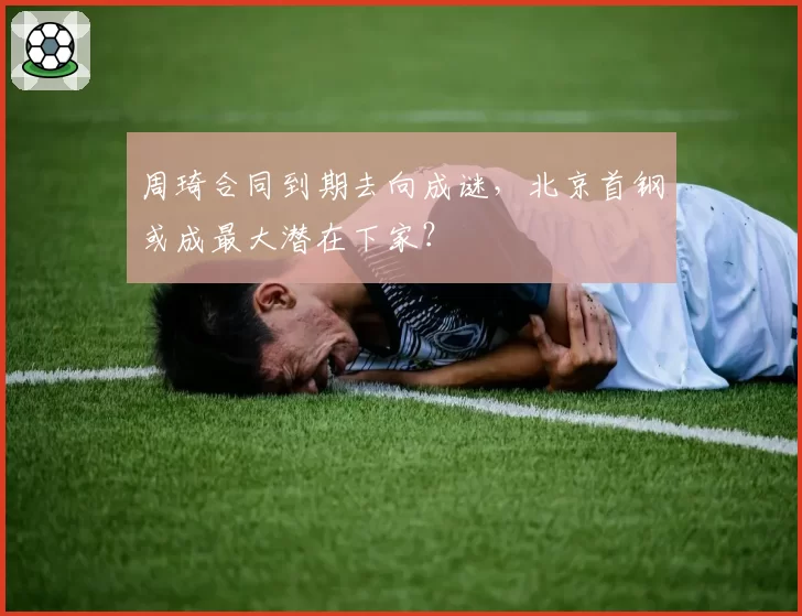 周琦合同到期去向成谜，北京首钢或成最大潜在下家？