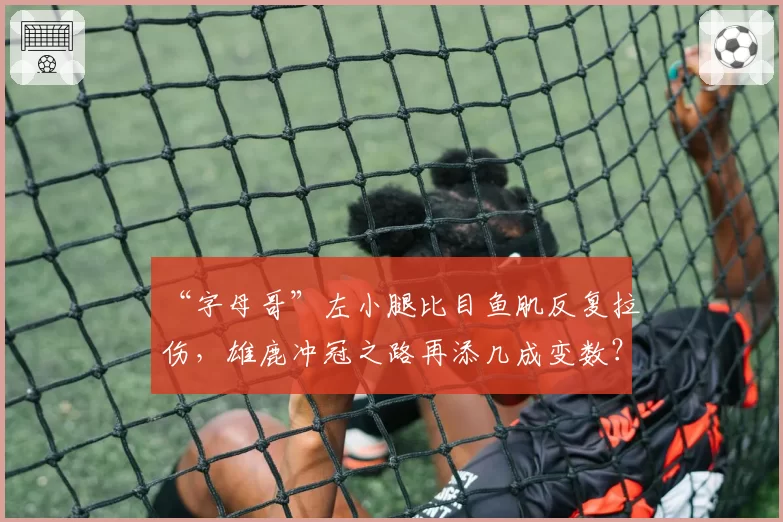 “字母哥”左小腿比目鱼肌反复拉伤,雄鹿冲冠之路再添几成变数?