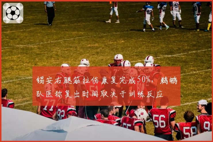 锡安右腿筋拉伤康复完成50%，鹈鹕队医称复出时间取决于训练反应